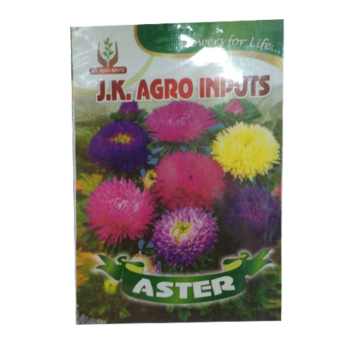 Aster seed online